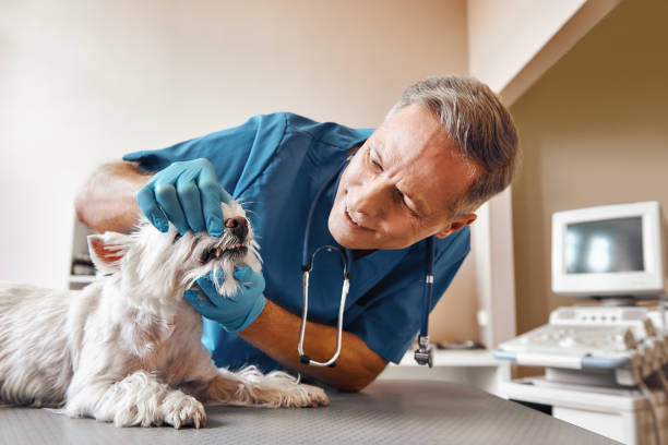 Best Emergency Root Canal Treatment in Midfield, AL